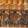 Plants: image 15 Of 208 Thumb